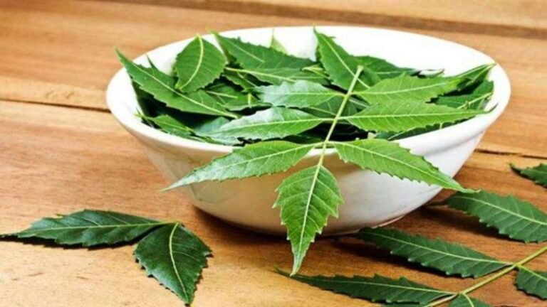 Chew these leaves on an empty stomach in the morning… know in which diseases you can get relief!